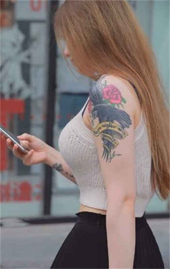 穿越之紫冰仙子