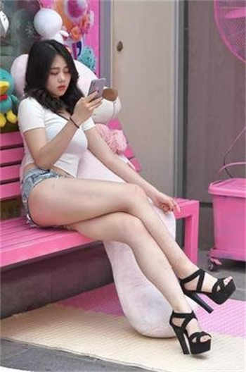 网红狗头视频观看