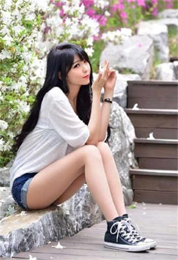 张柔谢娜和大狼狗小说