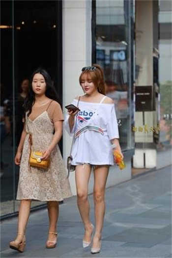 我家夫人太暴力怂怂