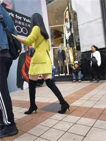 磁力狗搜索引擎入口